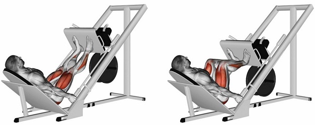 leg presses