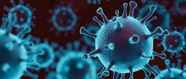 Coronavirus Disease