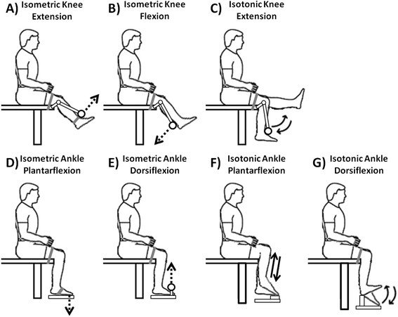 exercises for foot drop