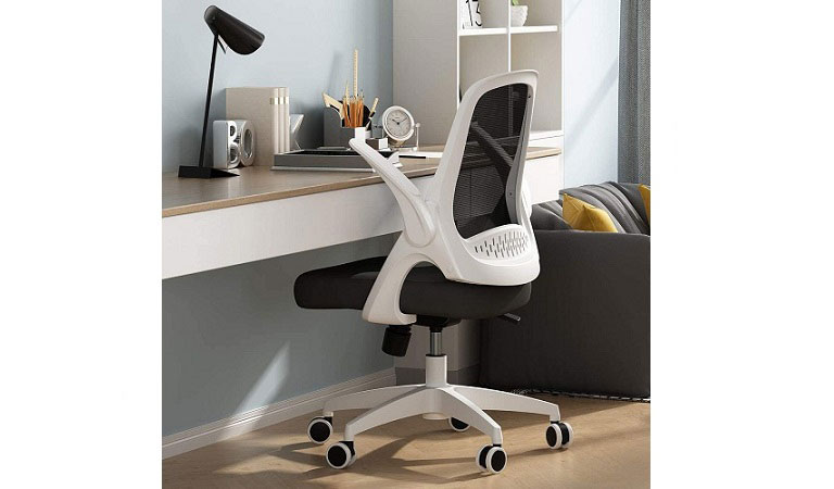 Best Back Support Office Chairs For Back Pain As Per User Reviews