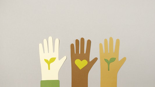 Volunteer For Feel Less Lonely